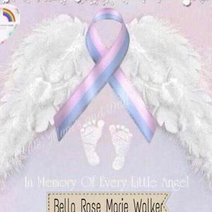 Meet your Posher, Rose